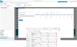 Trados Studio error message window overlaying the analysis results, indicating multiple errors with file paths and access permissions.