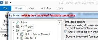 Screenshot of SDL Trados Studio Options dialog box with a handwritten note suggesting 'adding the concerned Template name here' pointing to the top of the dialog.