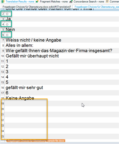 Screenshot of Trados Studio source text with segments, one segment highlighted in yellow indicating an issue with symbol visualization.
