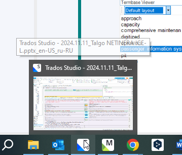 Screenshot of a computer desktop showing two overlapping windows of Trados Studio - 2024.11.11, with a focus on the TermBase Viewer panel.
