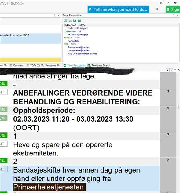 Screenshot of Trados Studio showing the Term Recognition window with no suggestions appearing for the typed text.