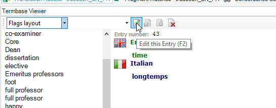 Termbase Viewer in Trados Studio with 'Flags layout' selected and an 'Edit this Entry' button visible.