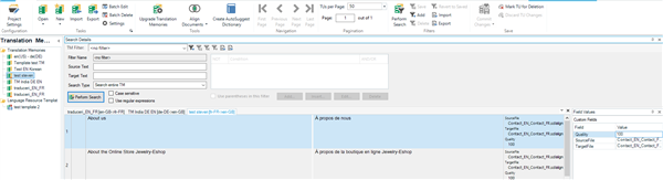 Trados Studio interface showing Translation Memory view with a filter applied to exclude segments with no values.