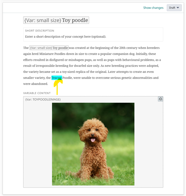 Screenshot of an editor view showing a description of 'Toy poodle' with highlighted text 'Teacup Poodle' and an arrow pointing to it. Below is an image of a small brown poodle on grass.