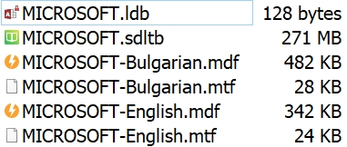 File list with a warning icon on MICROSOFT.ldb at 128 bytes, and MICROSOFT.sdltb at an increased size of 271 MB, other files remain the same size as in the first screenshot.