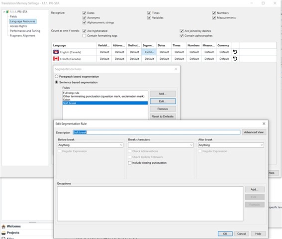 Trados Studio Translation Memory Settings window showing segmentation rules with 'Other terminating punctuation' selected.