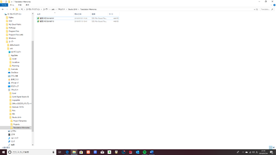 Screenshot of the Documents directory with 'Studio 2019' folder visible, to be renamed to 'Studio 2019_old'.