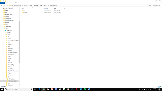 Screenshot showing the SDL folder in the Local directory with no 'ProjectApi' folder visible.