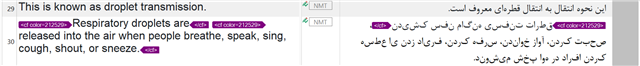 Screenshot of Trados Studio showing a translation segment with tags displayed incorrectly in both source and target panels. Error icons are visible next to the affected text.