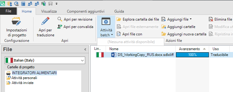 Trados Studio interface with project files displayed, including a file named 'DS_WorkingCopy_RUS.docx.sdlxliff' with 100% progress and marked as translatable.