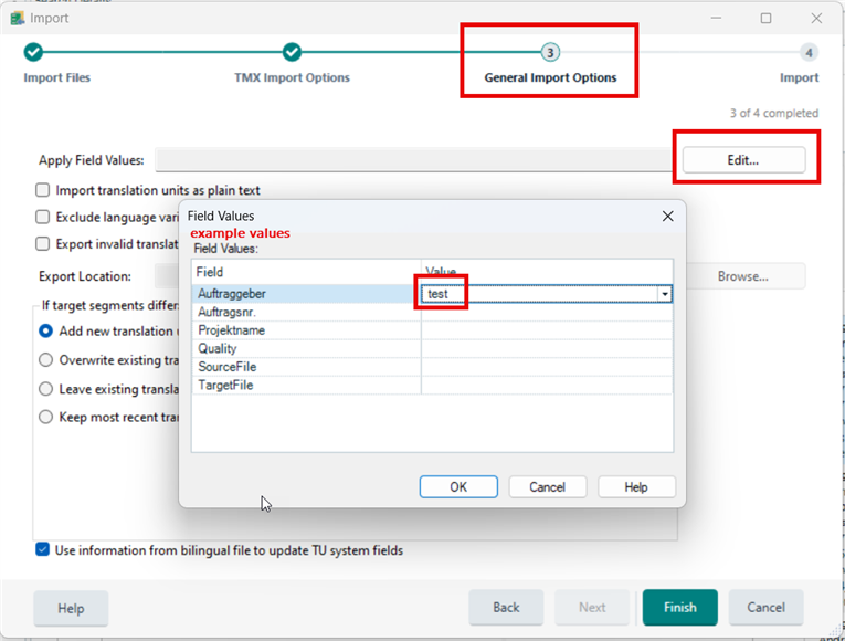 Import settings window with 'General Import Options' highlighted, showing field values table with an example value 'test' entered under 'Auftraggeber'.