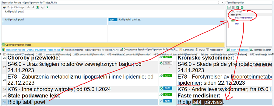 Screenshot showing a translation software interface with term recognition highlighting a term in the source text but not used in the translation result.