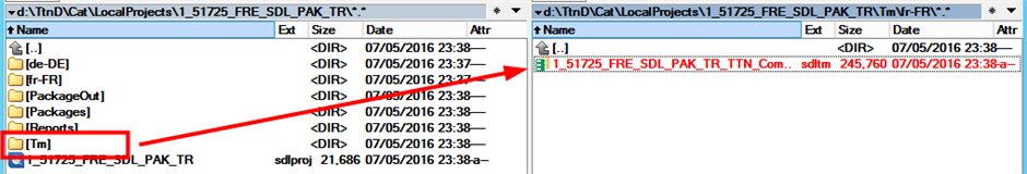 Two-pane file explorer window showing a project folder with a 'Tm' subfolder on the left, and its contents on the right, highlighting the presence of a translation memory file.