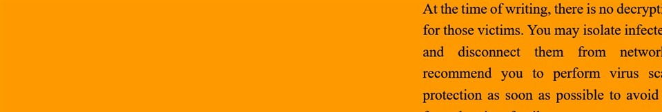 Screenshot of a Trados Studio exported file with an unintended yellow background color in the text area.