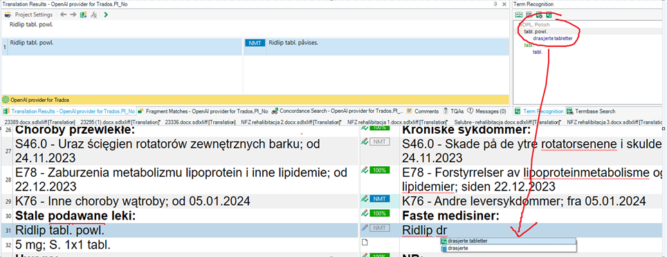 Screenshot of a translation software interface where a term is recognized in the source panel but the suggested translation does not match the recognized term.